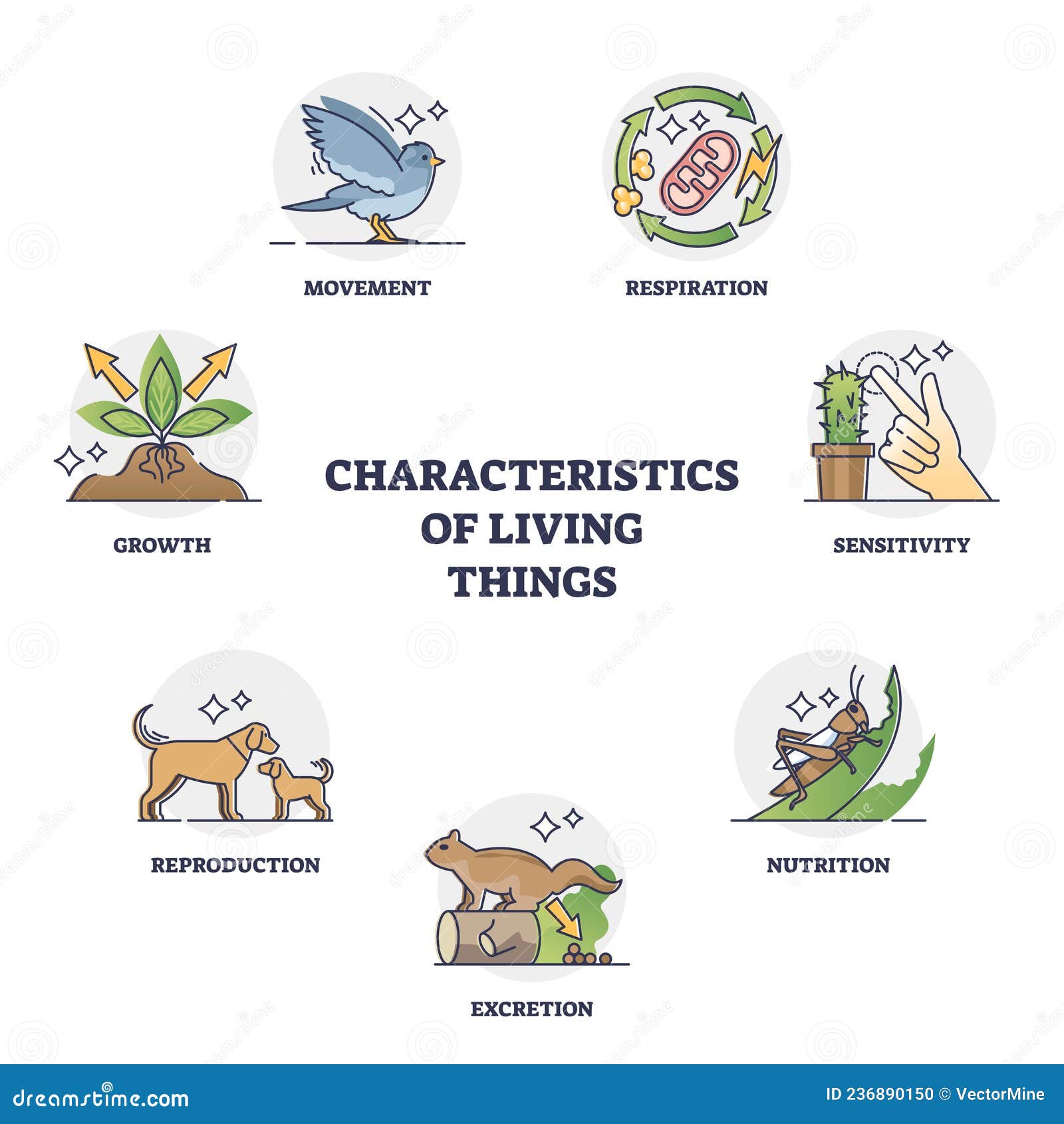 Characteristics of Living Things and Their Recognition Groups Outline ...