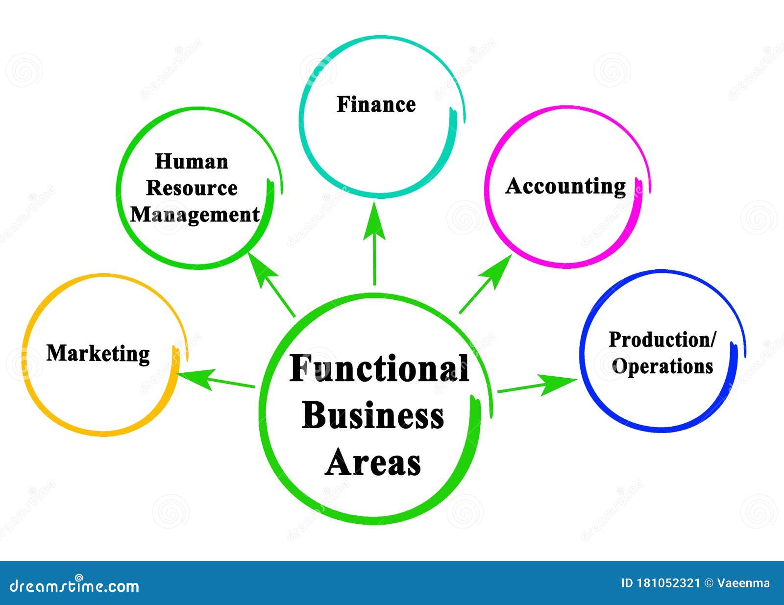 Functional Business Areas stock illustration. Illustration of finance ...