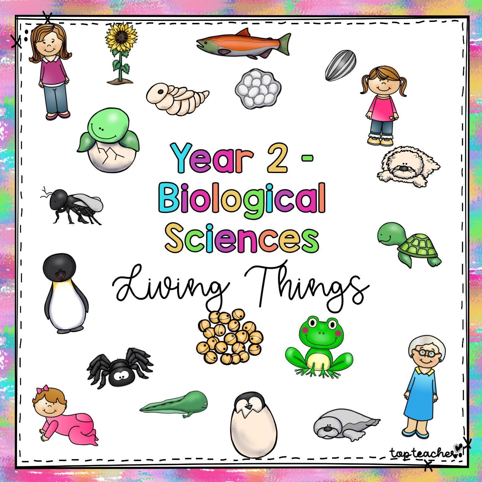 Living Things POWERPOINT - Top Teacher