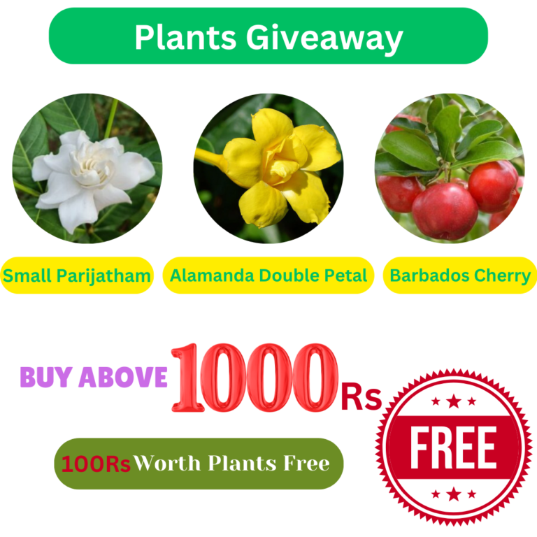 Free Plants – VGR Gardens