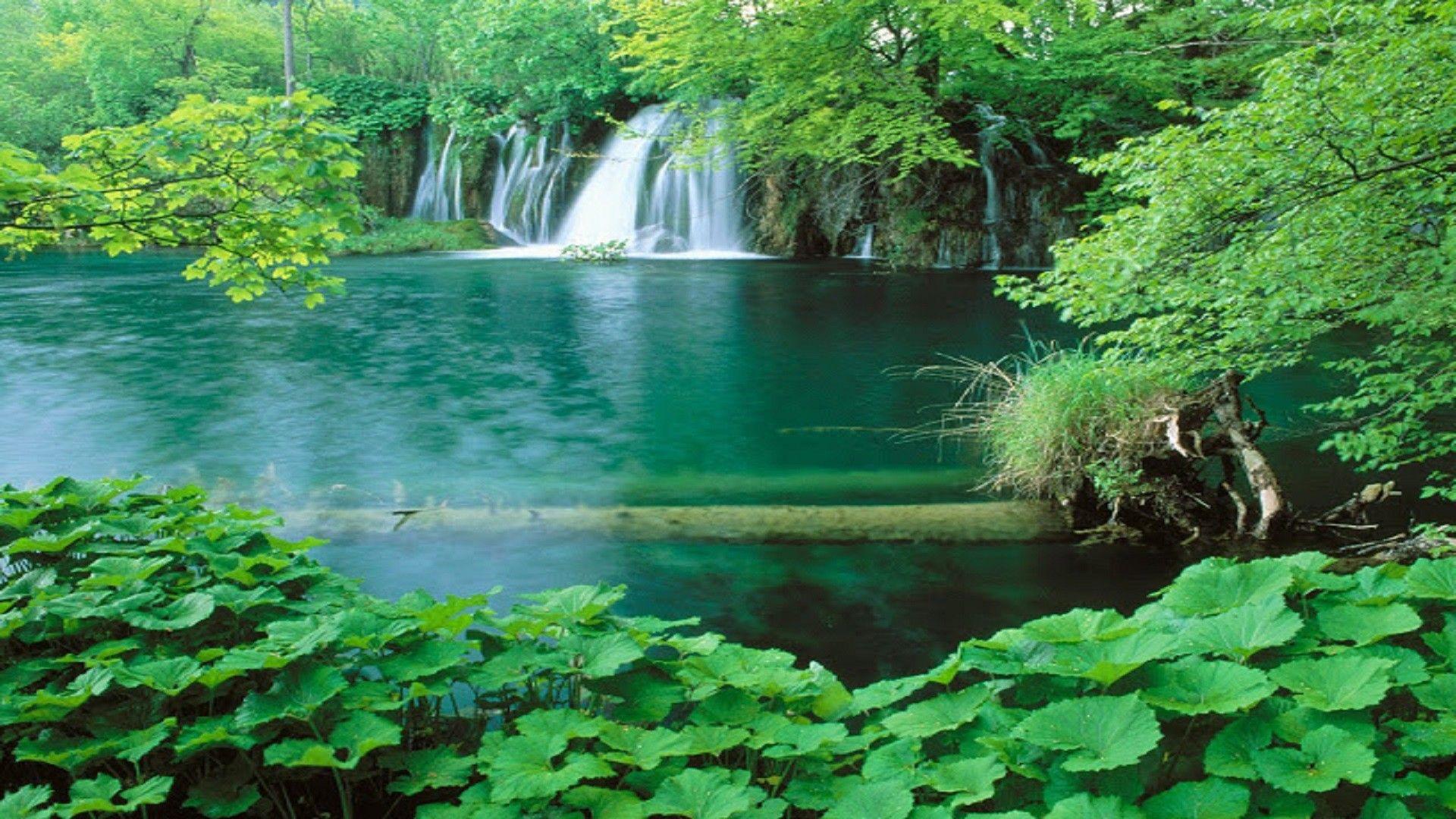 Nature Scenery Wallpapers - Top Free Nature Scenery Backgrounds ...
