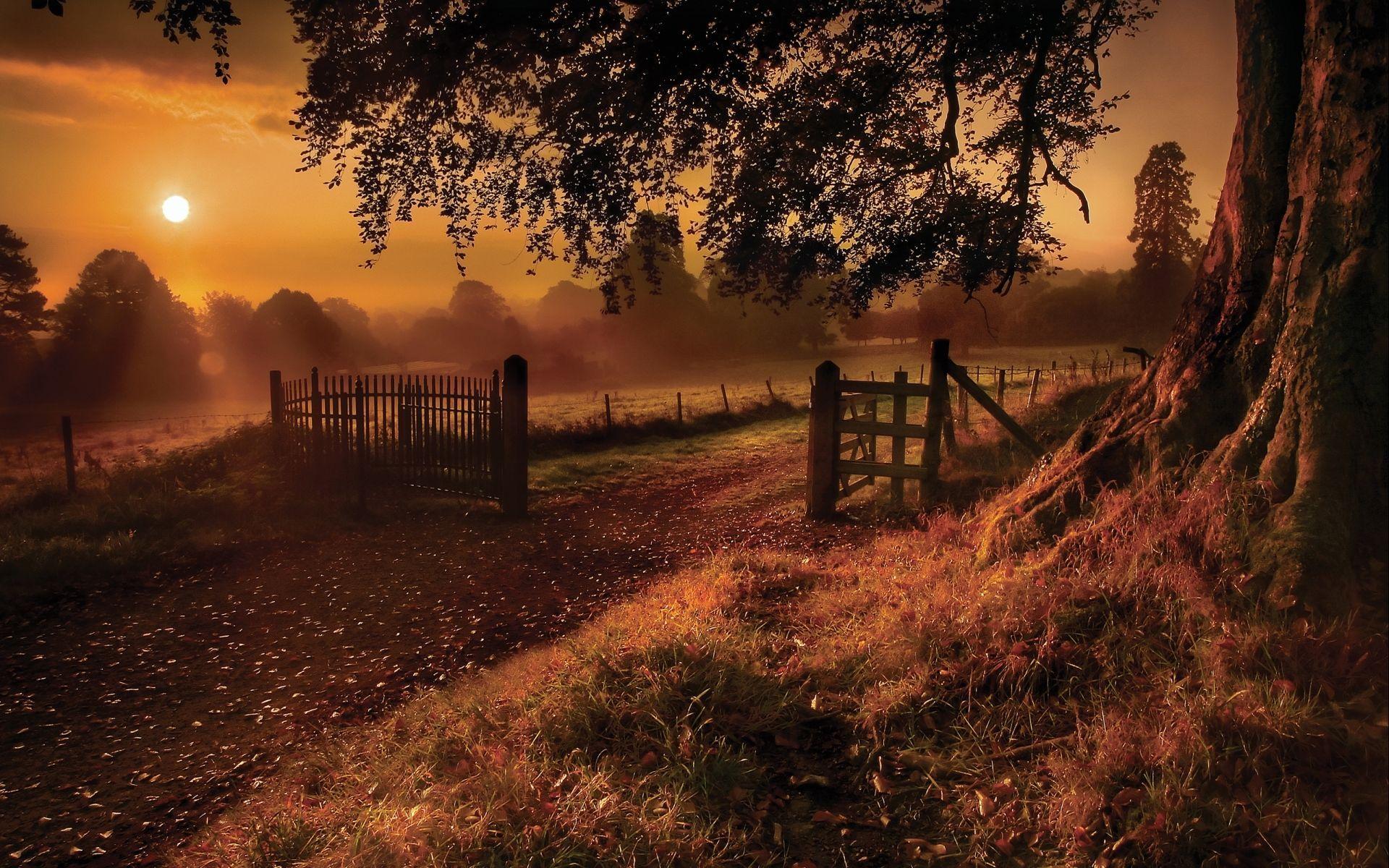 Warm Nature Wallpapers - Top Free Warm Nature Backgrounds - WallpaperAccess