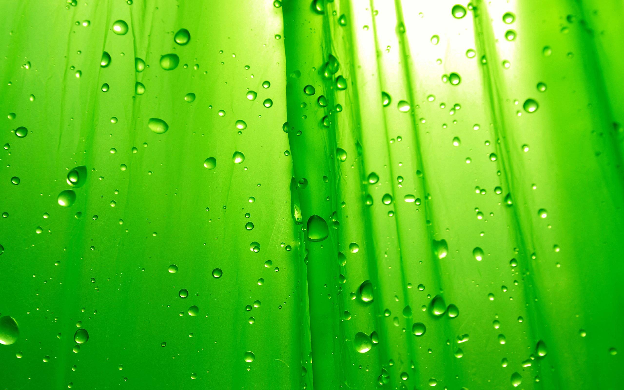 Green Color Wallpapers - Wallpaper Cave