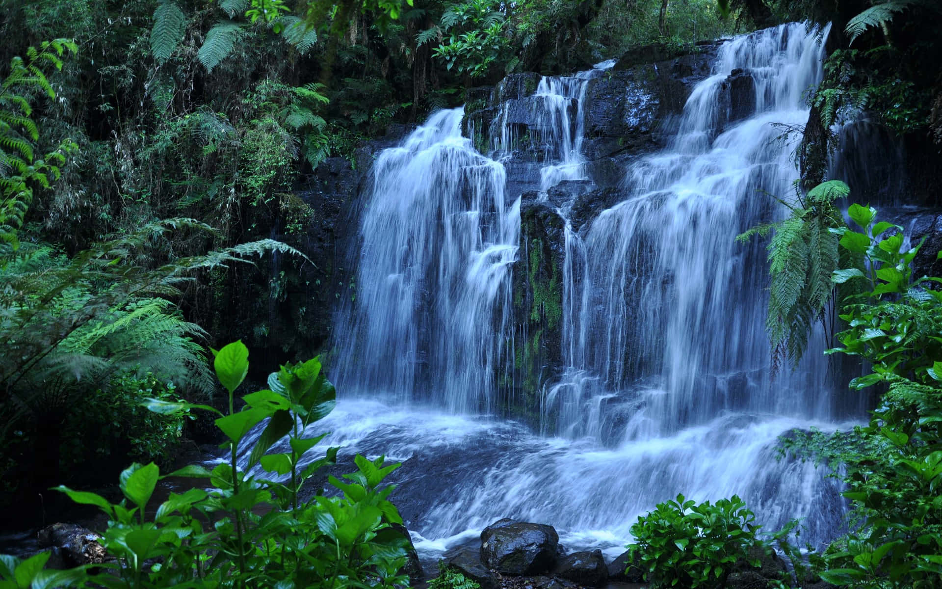Mother Nature Wallpaper