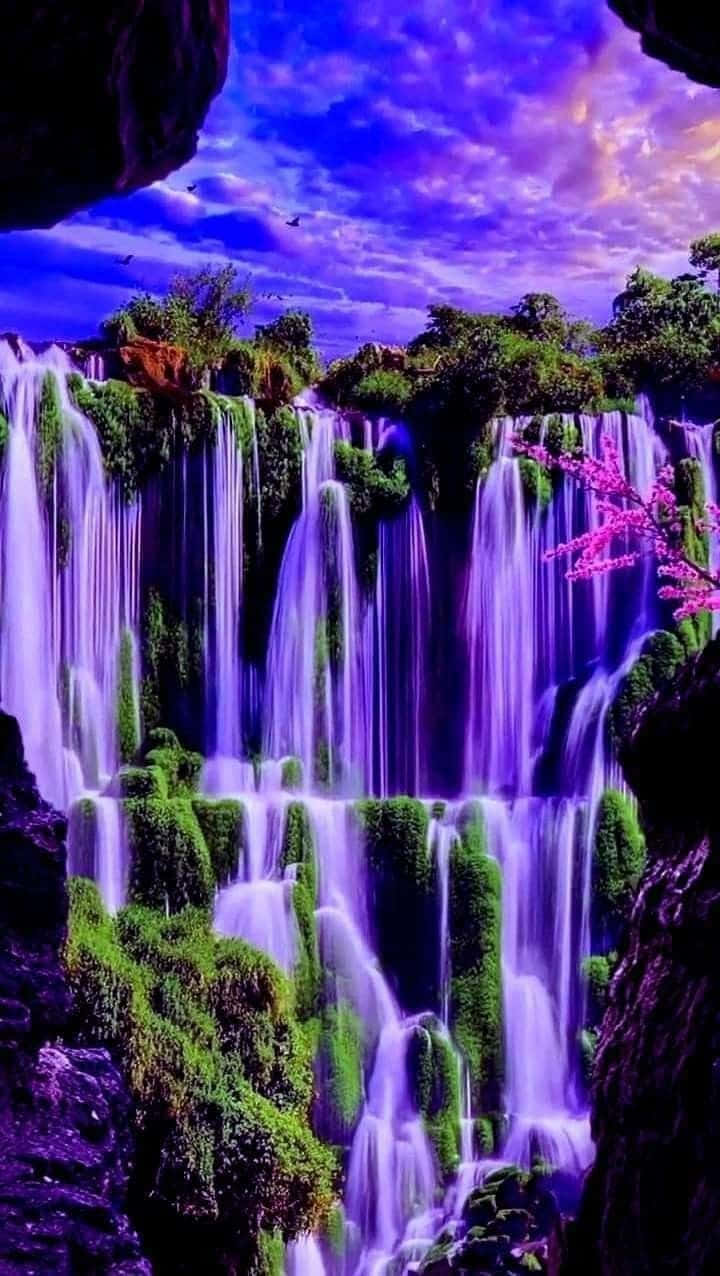 [200+] Beautiful Nature Pictures | Wallpapers.com