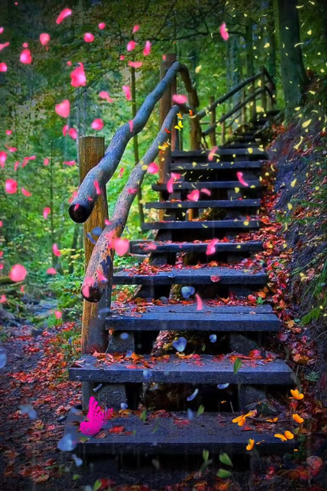 Download Beautiful Nature Pictures | Wallpapers.com