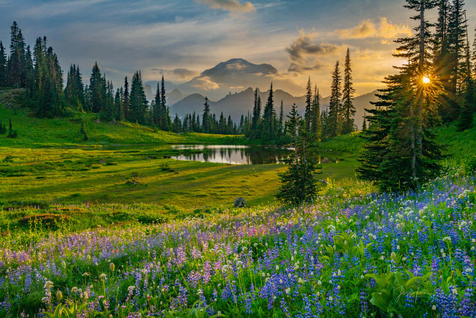 [100+] Nature Landscape Pictures | Wallpapers.com