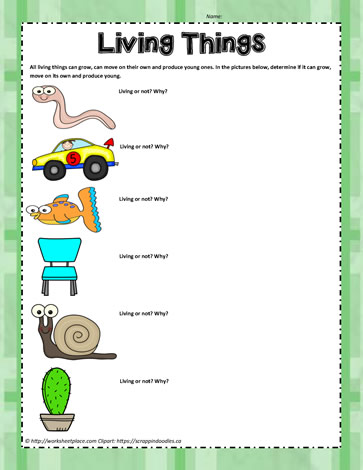Living Things Worksheet Worksheets