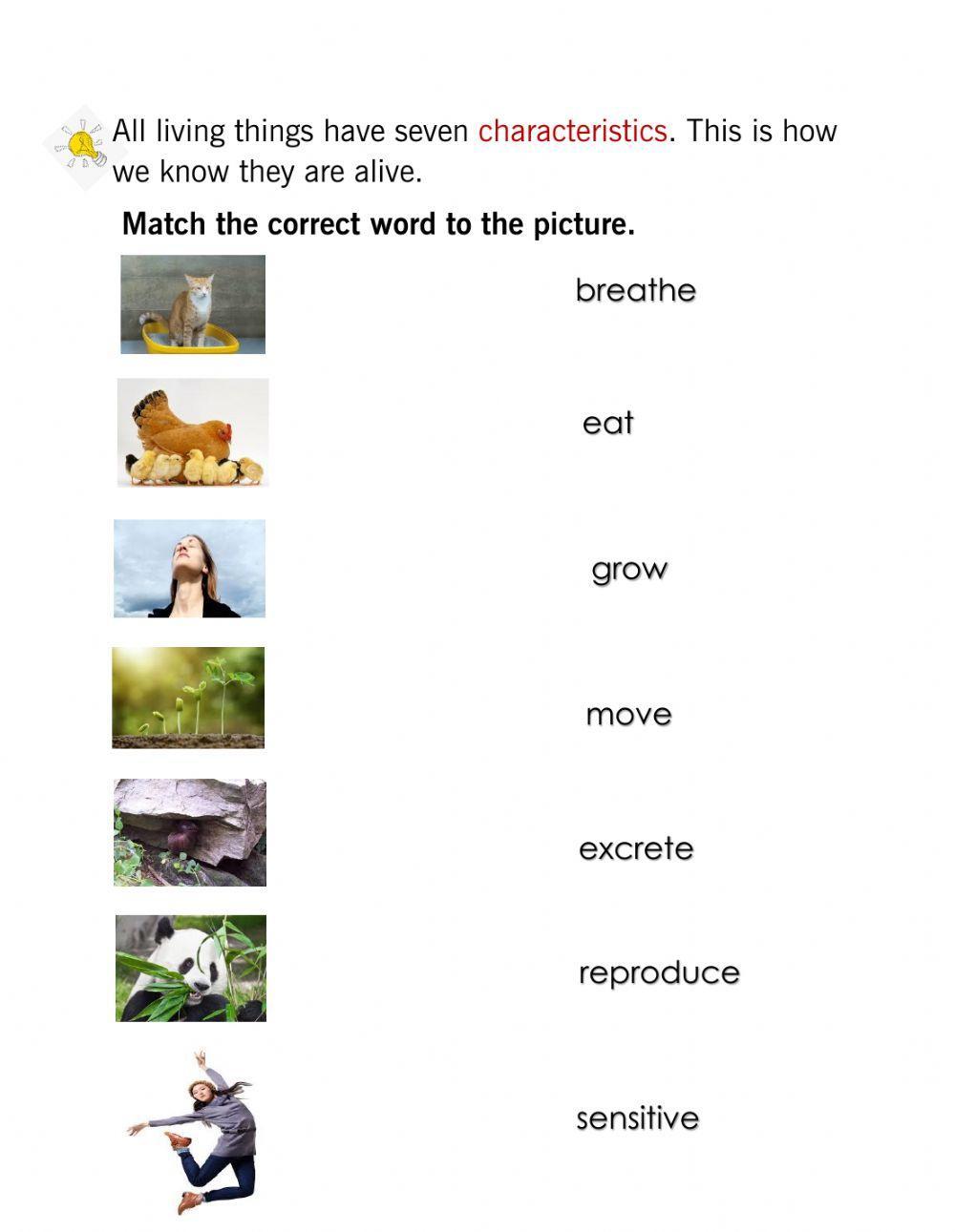 Characteristics of Living Things worksheet | Live Worksheets ...