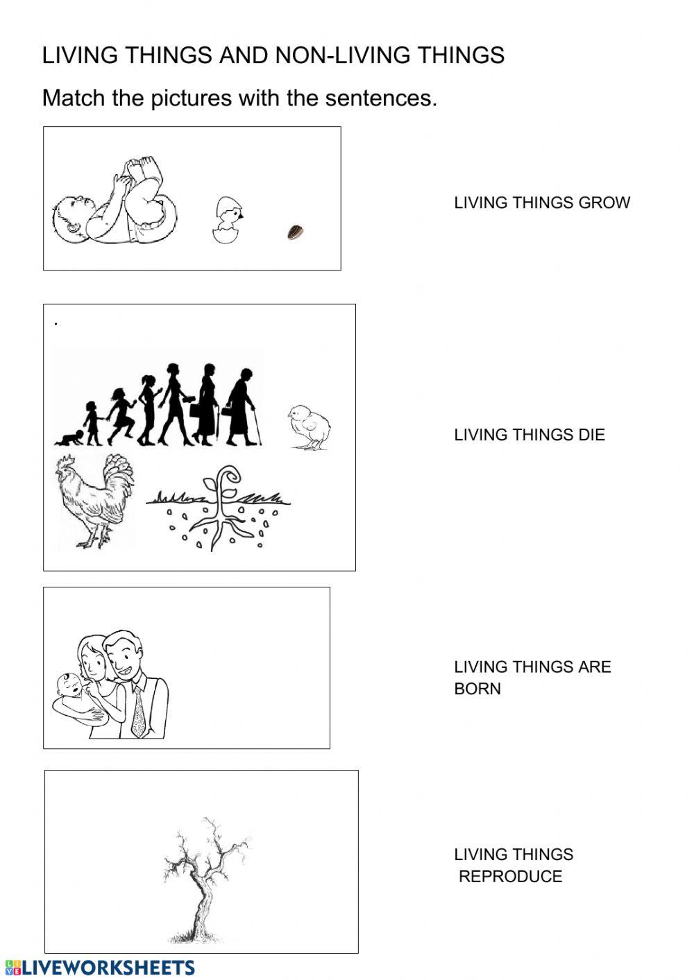Living and Nonliving Things Worksheets - 15 Worksheets.com - Worksheets ...