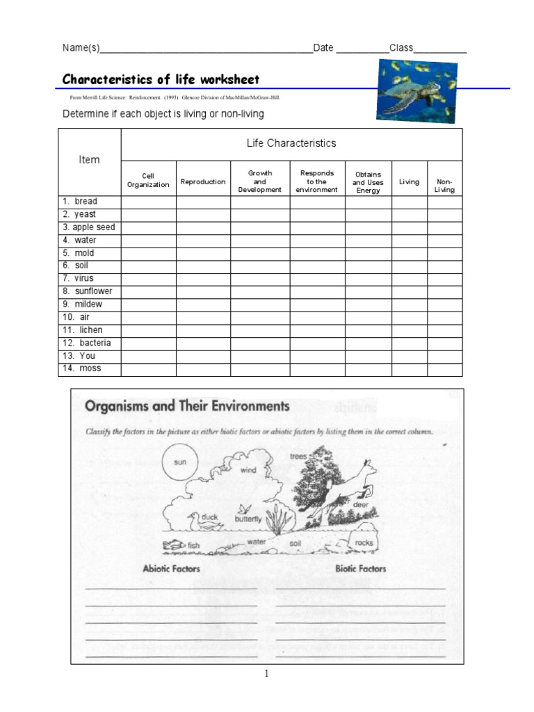 Characteristics of Living Things - ESL worksheet by manenalarrain ...