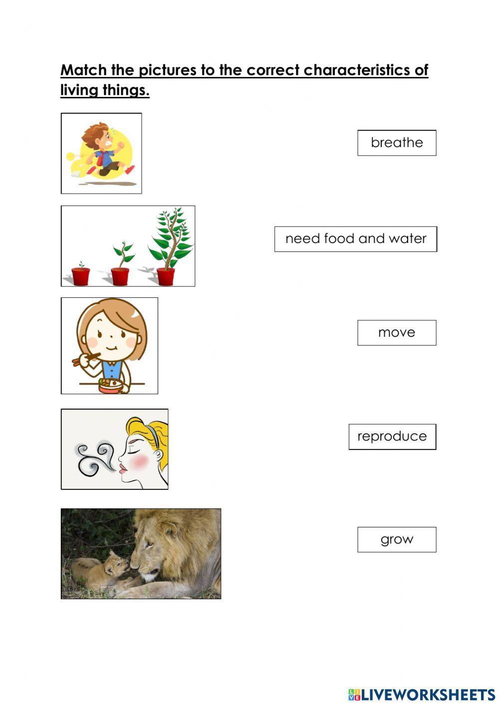 Characteristics of living things activity for Grade 1 | Live ...