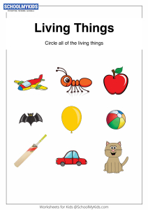 Circle the Living Things worksheet for Preschool,Kindergarten ...