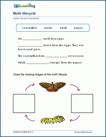 Living Things Worksheets | K5 Learning - Worksheets Library