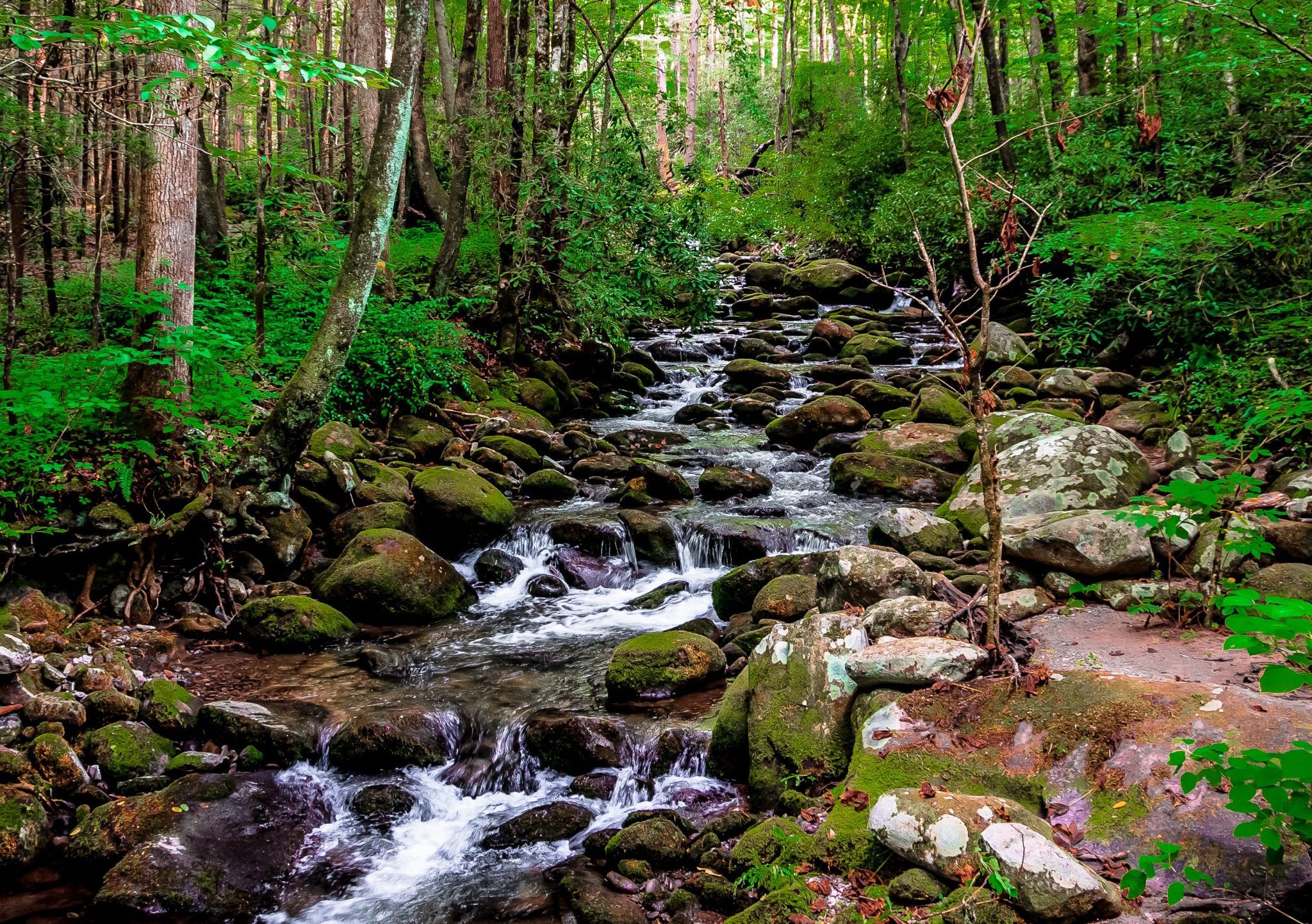 Natural Resources