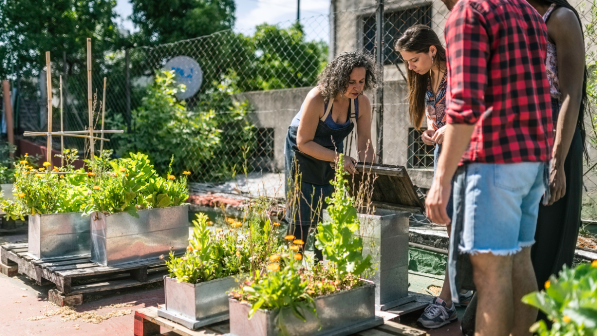 4 Ways to Embrace Simple Living | AMG