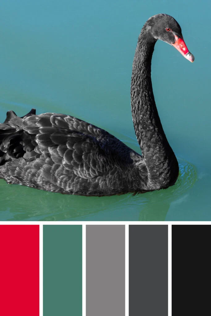 99 Shades of Black Color With Names, HEX, RGB, & CMYK (2024)