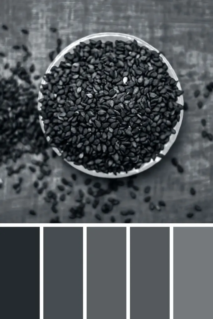 99 Shades of Black Color With Names, HEX, RGB, & CMYK (2024)