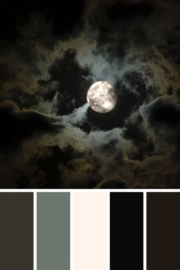 99 Shades of Black Color With Names, HEX, RGB, & CMYK (2024)