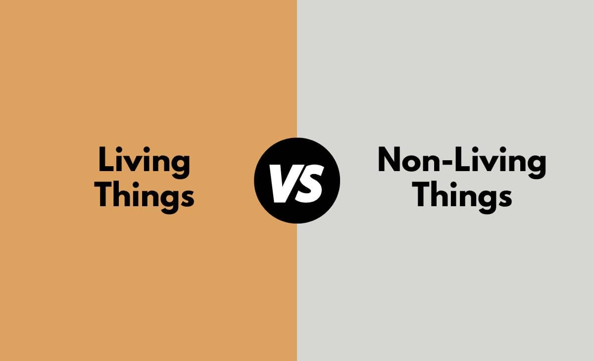 Living Things vs. Non-living Things - What's the Difference (With Table)