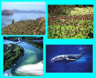 Opiniones de Patrimonio natural de la humanidad