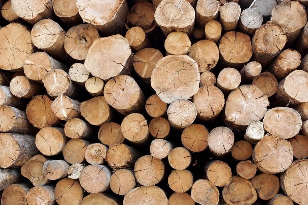 What is Wood | What is Timber | Difference between Wood and Timber ...