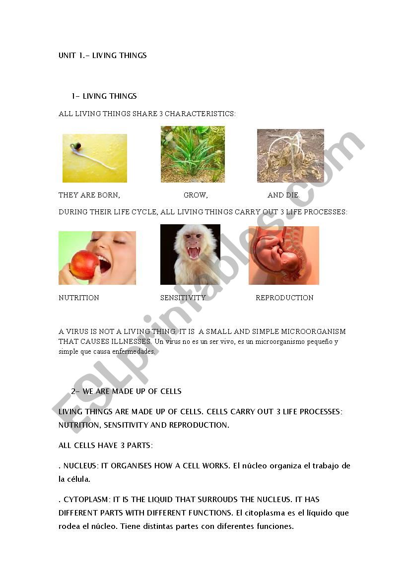 Living things. Summary - ESL worksheet by mariajoalcruiz