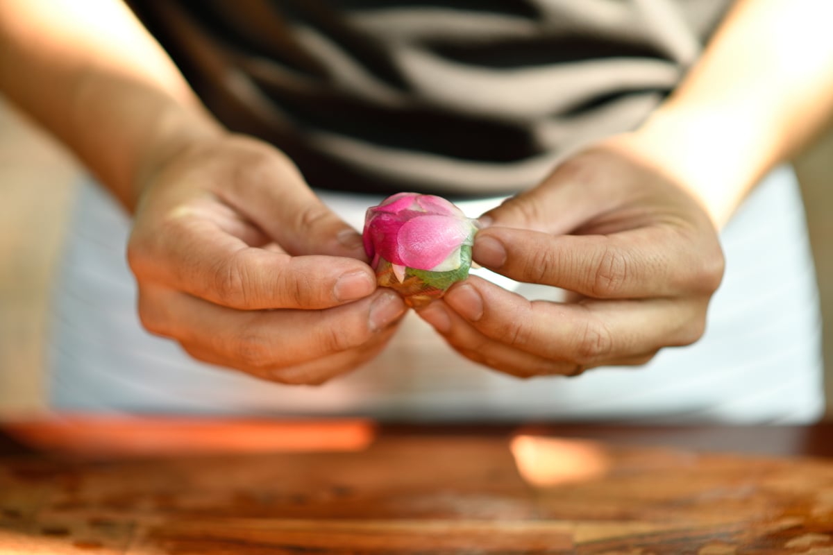 Your guide to the Art of Slow Living - Greenpeace Southeast Asia