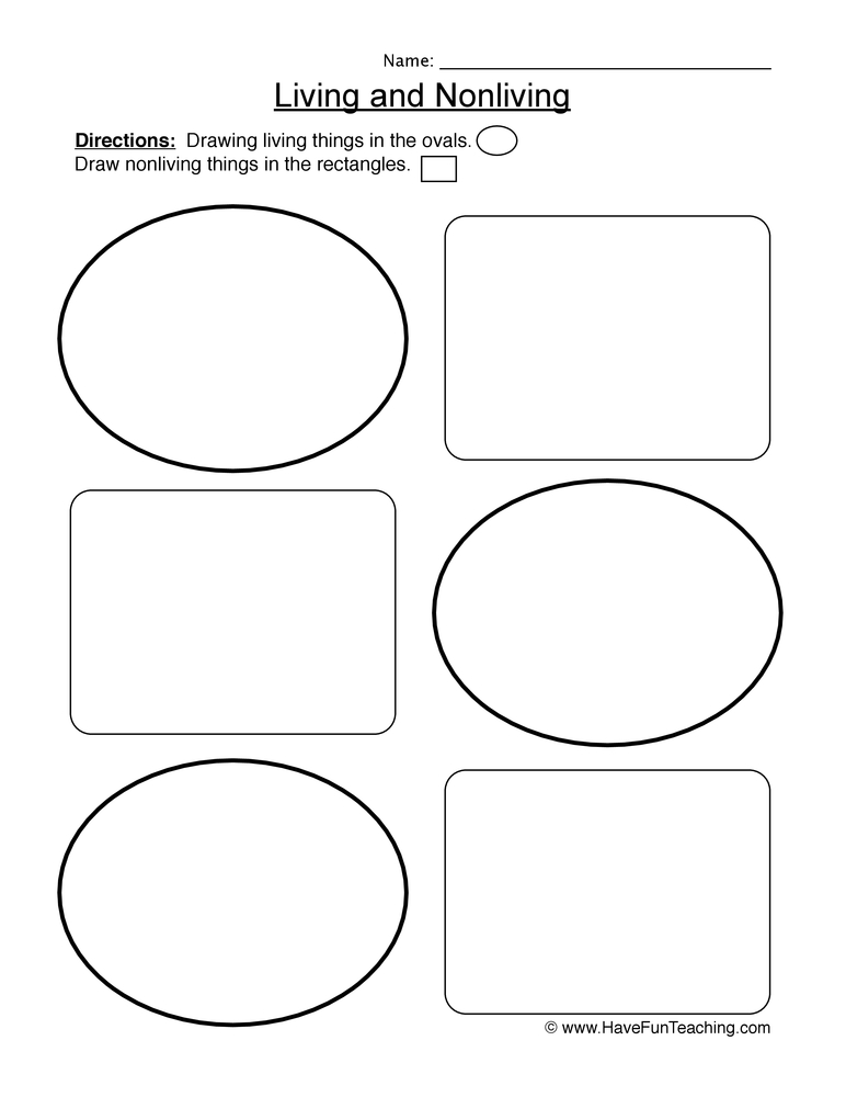 Living Things Worksheet - Draw
