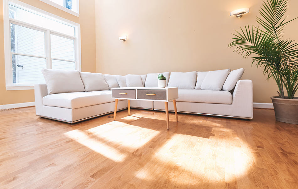 Living Room with Sectional Sofas: Style Ideas and Examples - Homenish