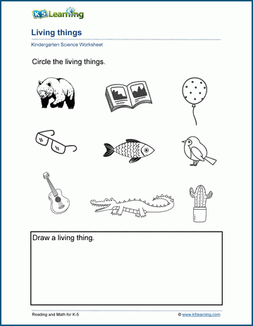 Living things worksheets | K5 Learning