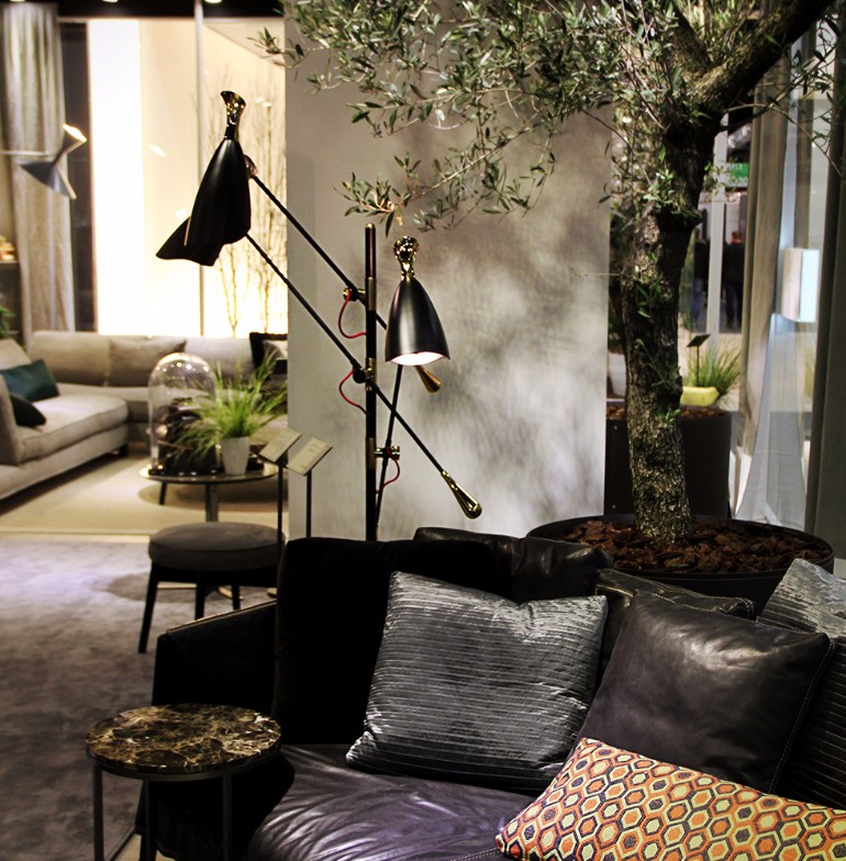 Indoor Trees Ideas For Your Living Room Decor