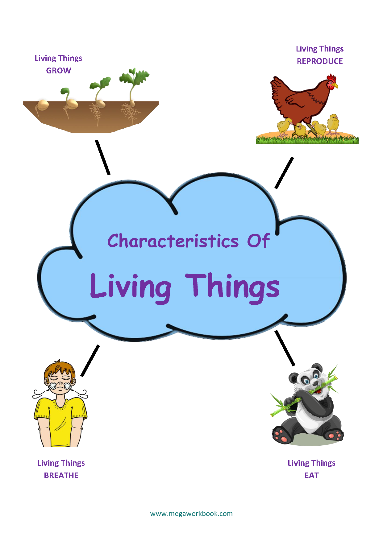 Living And Non Living Things Worksheets - Characteristics Of Living ...