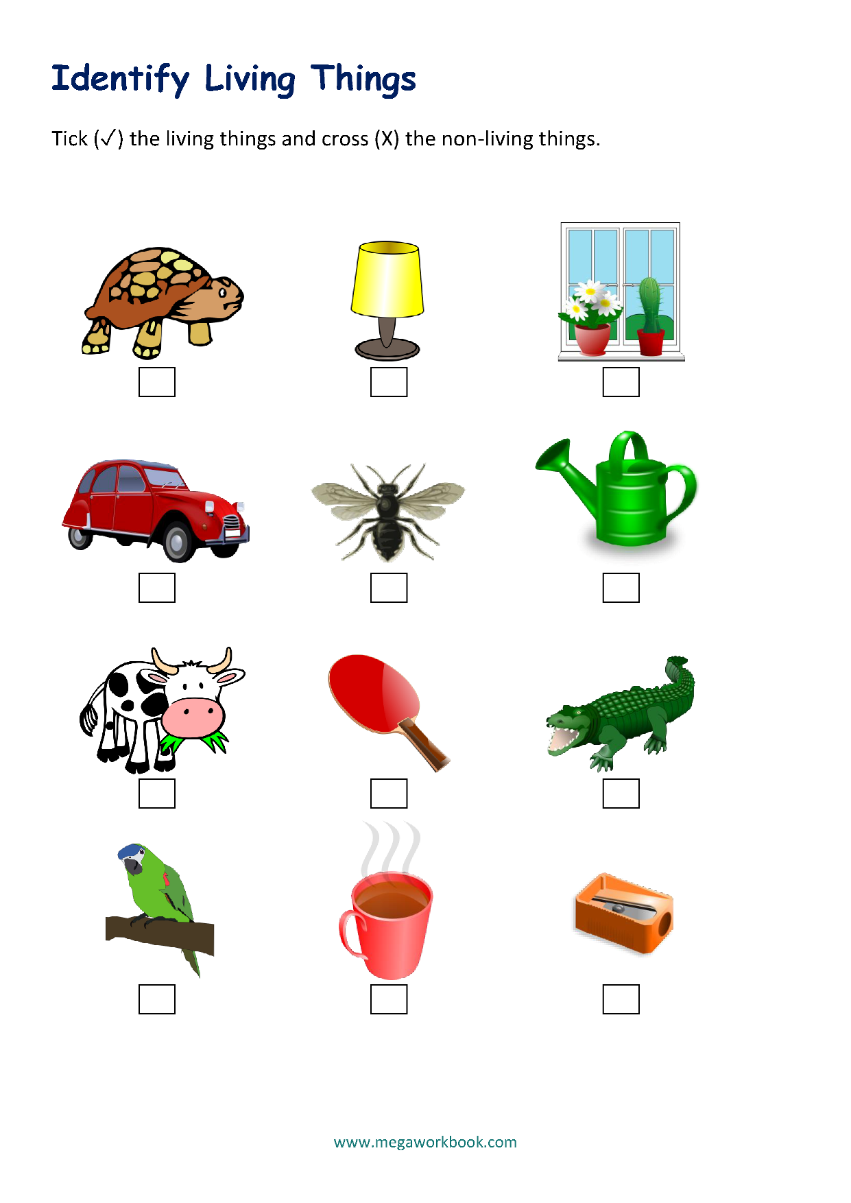 Non Living Things Pictures For Kids