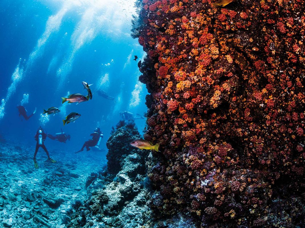 Las Islas del Golfo de California son Patrimonio Natural de la ...