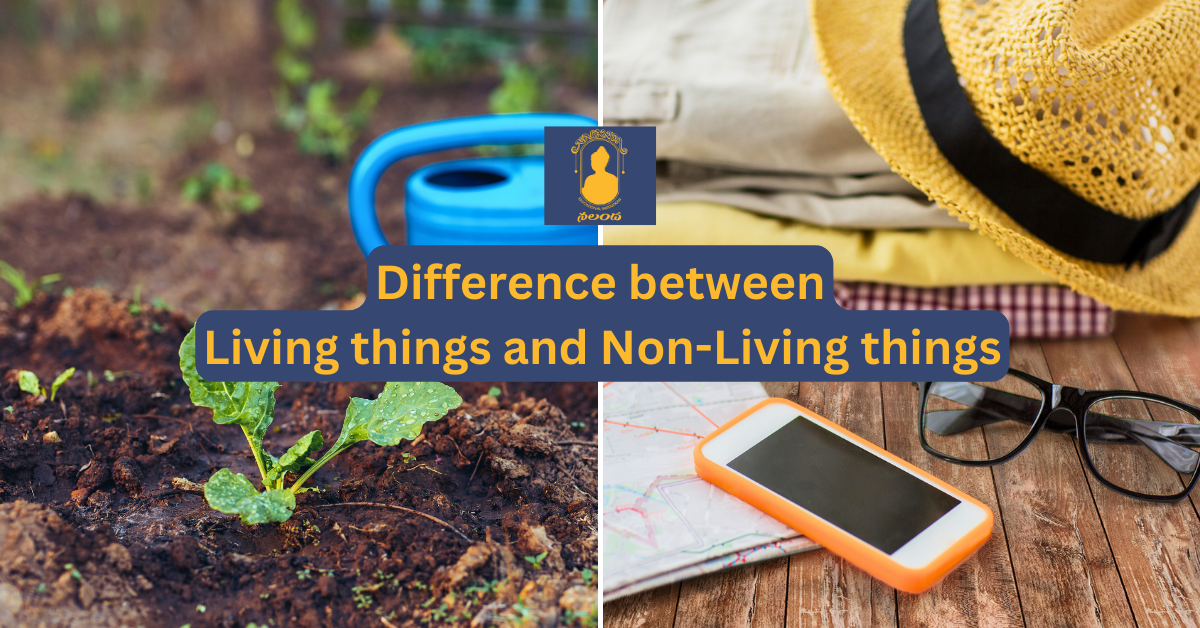 Difference between Living things and Non Living things - Nalanda ...