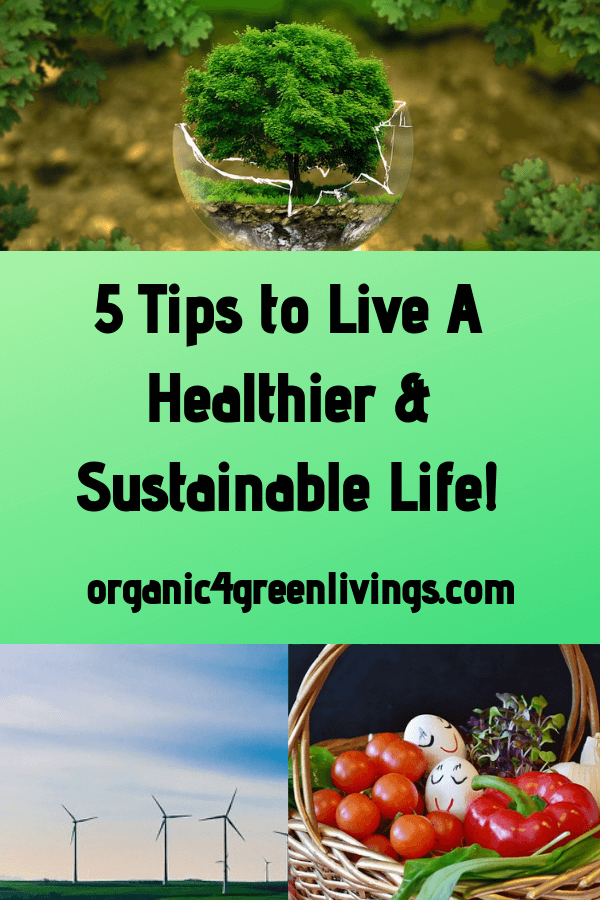 5 Tips to Start Living A More Sustainable Life