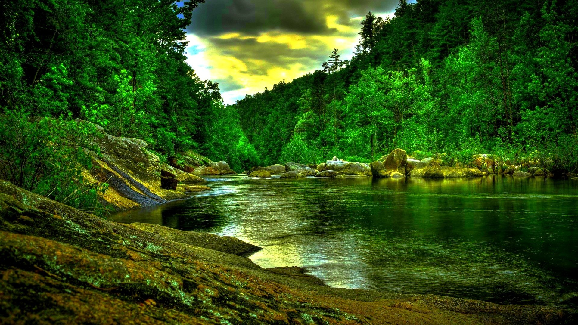 Forest Backgrounds HD Free Download