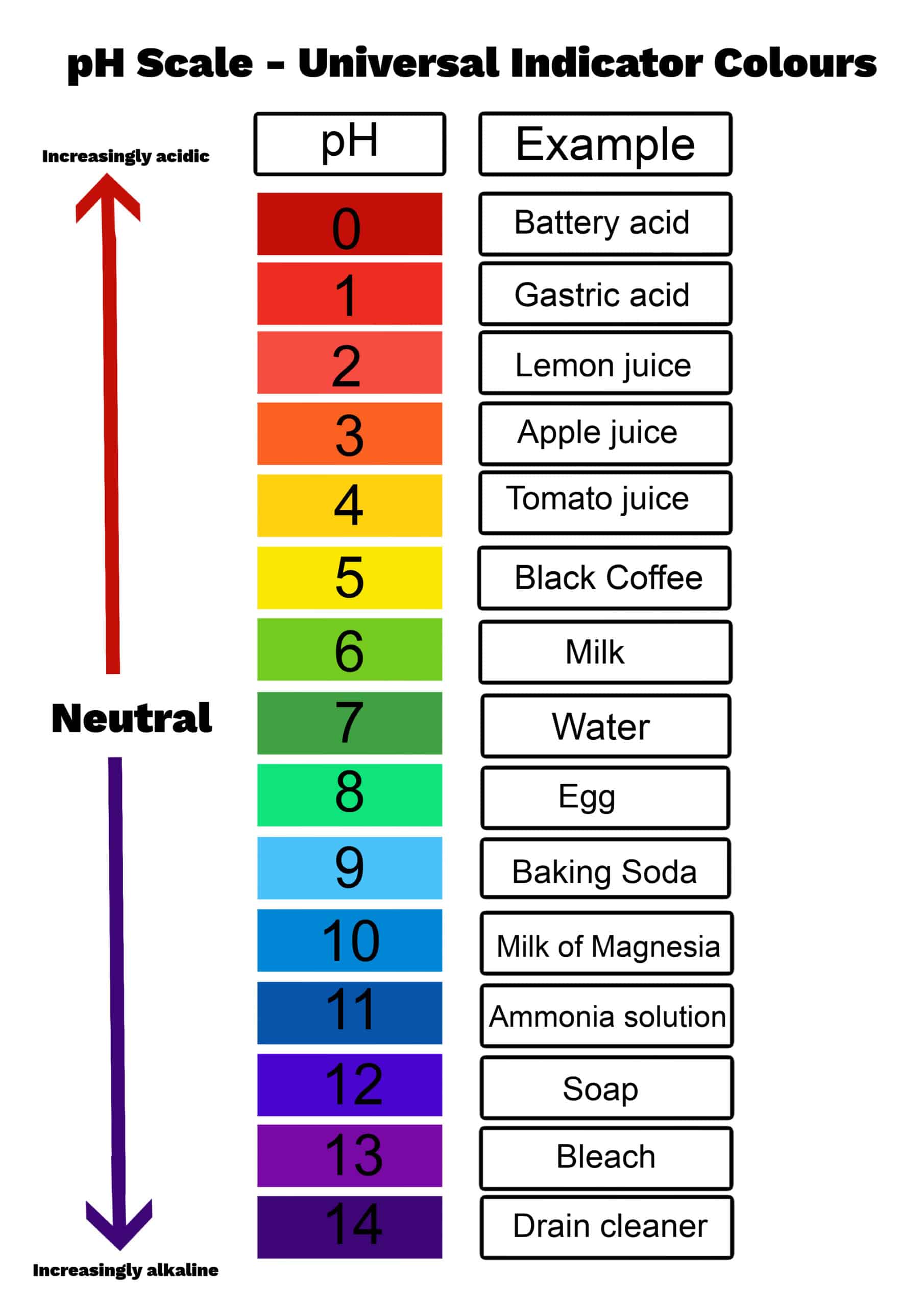 What is the pH Scale? – Top Globe News