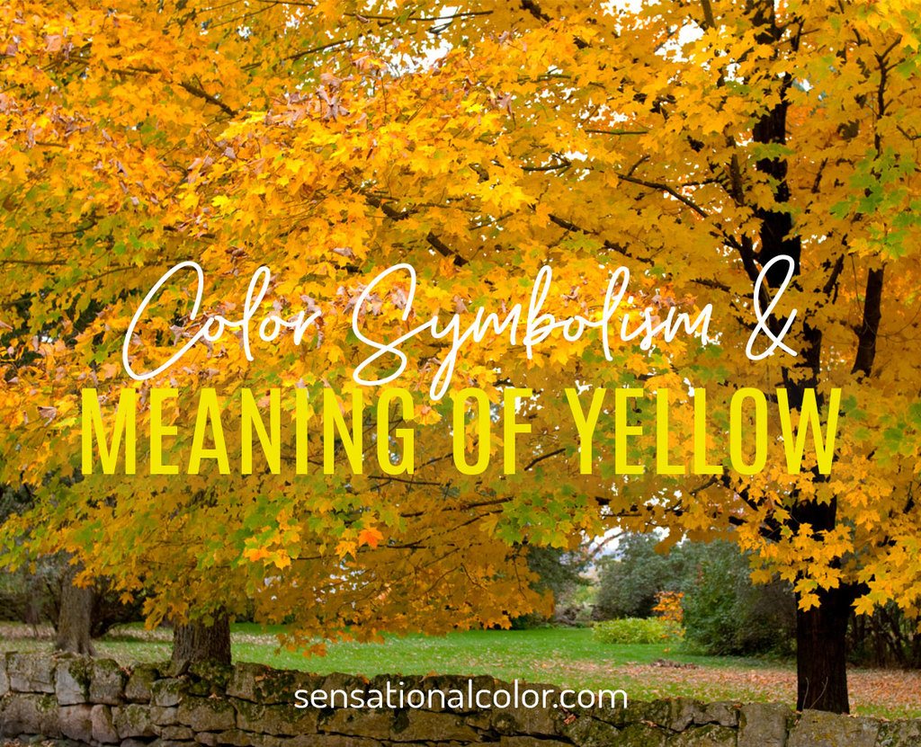 Meaning Of Orange: Color Psychology And Symbolism