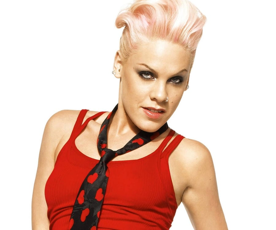 Pink Biography - Childhood, Life Achievements & Timeline
