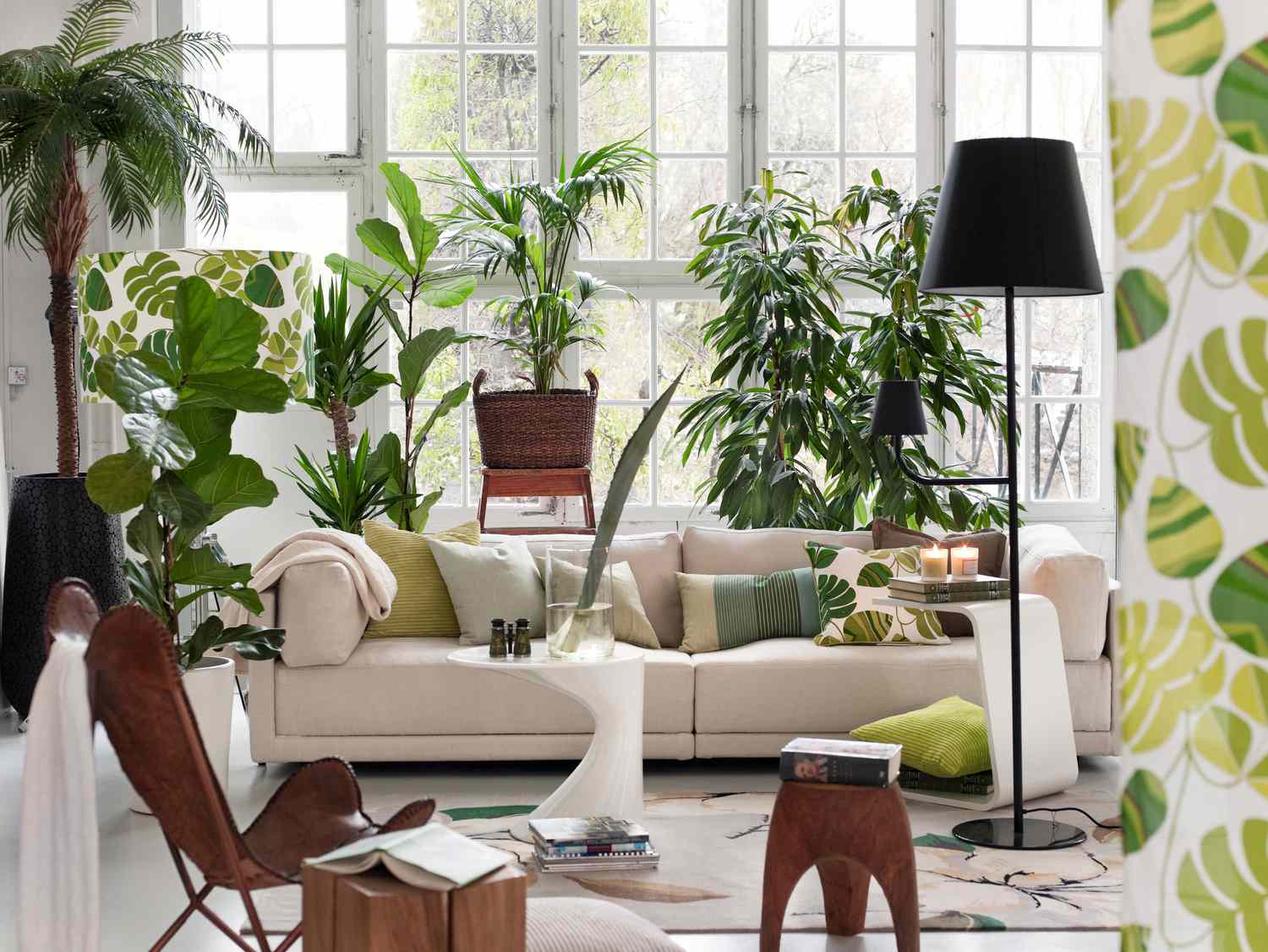 Decorate Living Room With Indoor Plants | Baci Living Room