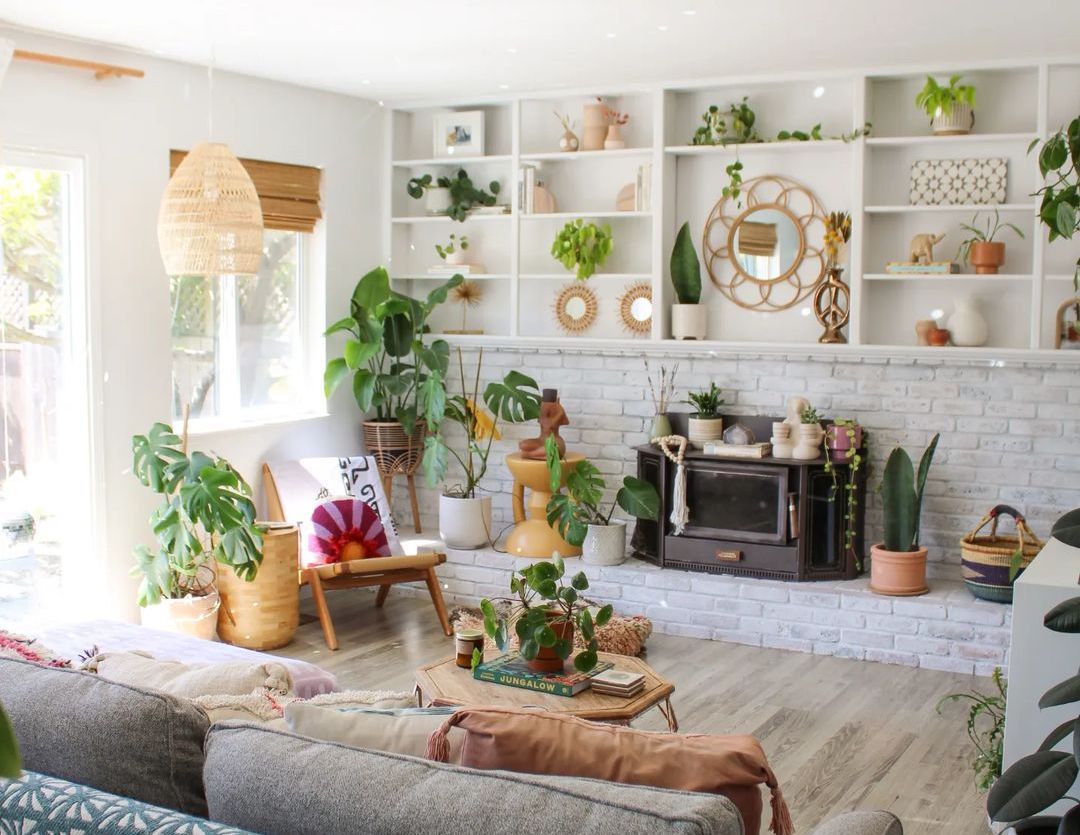 30 Best Indoor Plants to Add Some Greenery to Your Home