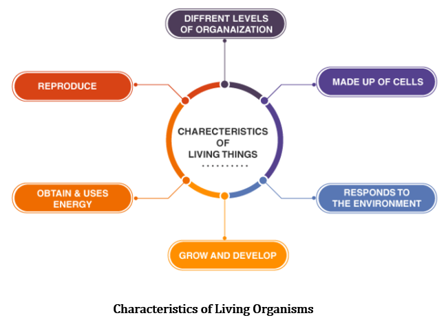 CBSE Class 6 Science Notes Chapter 9 The Living Organisms ...