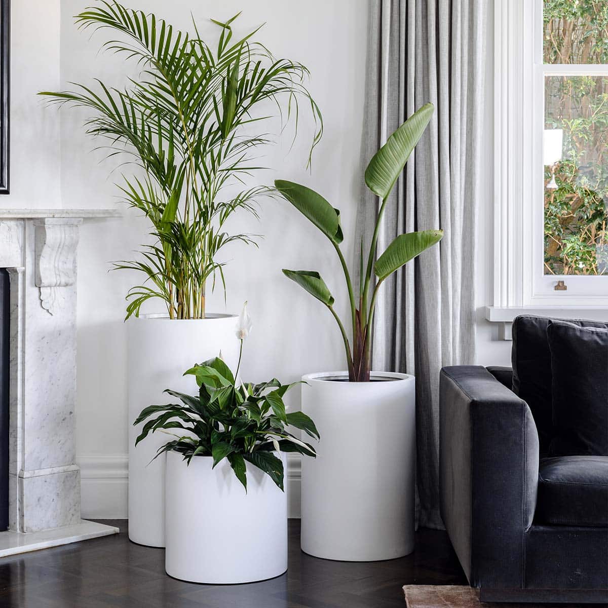 Living Room Indoor Plants Decoration Ideas for a Serene Atmosphere ...