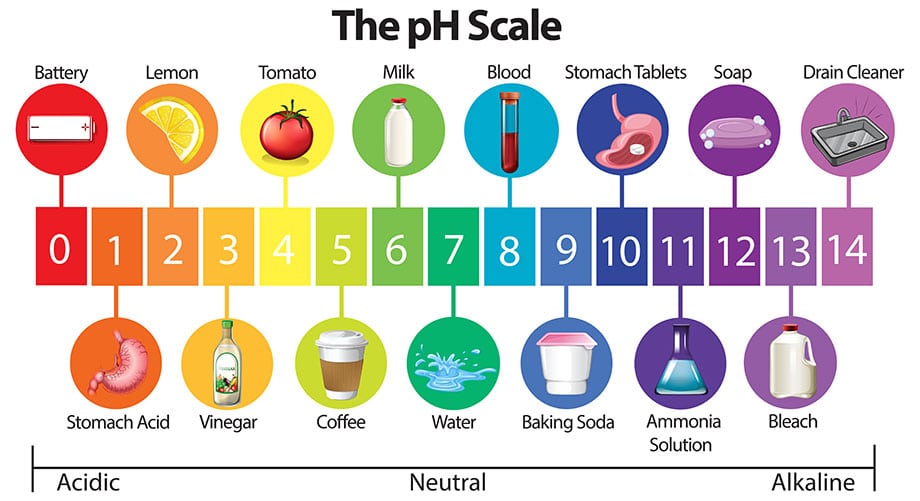 รู้และเข้าใจ pH คืออะไร