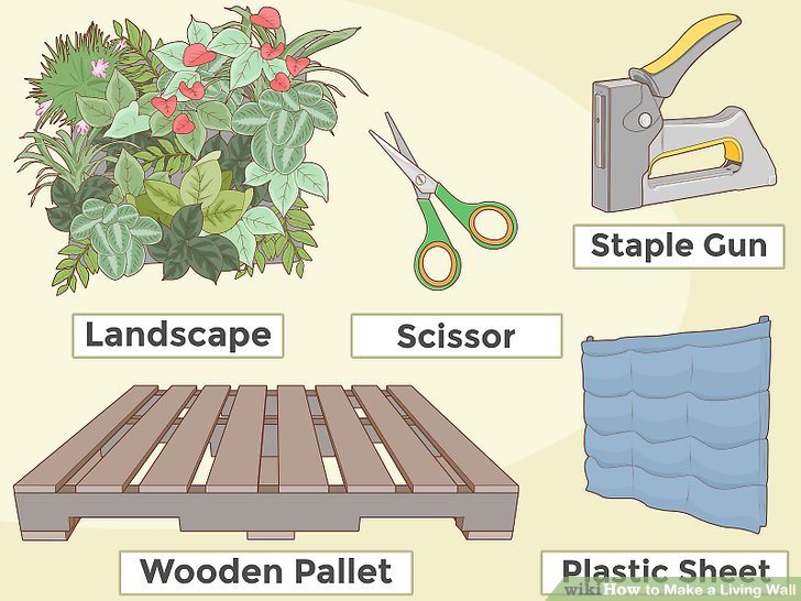 How to Make a Living Wall: 14 Steps (with Pictures) - wikiHow