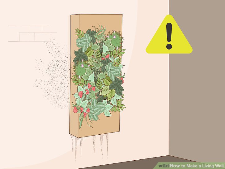 How to Make a Living Wall: 14 Steps (with Pictures) - wikiHow
