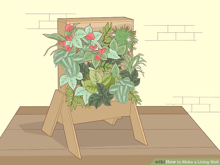 How to Make a Living Wall: 14 Steps (with Pictures) - wikiHow