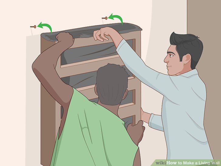 How to Make a Living Wall: 14 Steps (with Pictures) - wikiHow